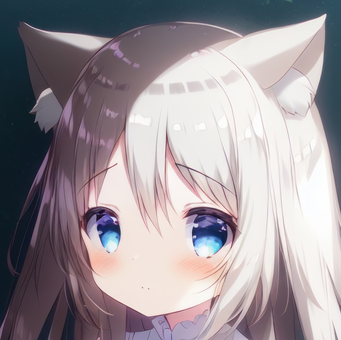 creek_night 的头像